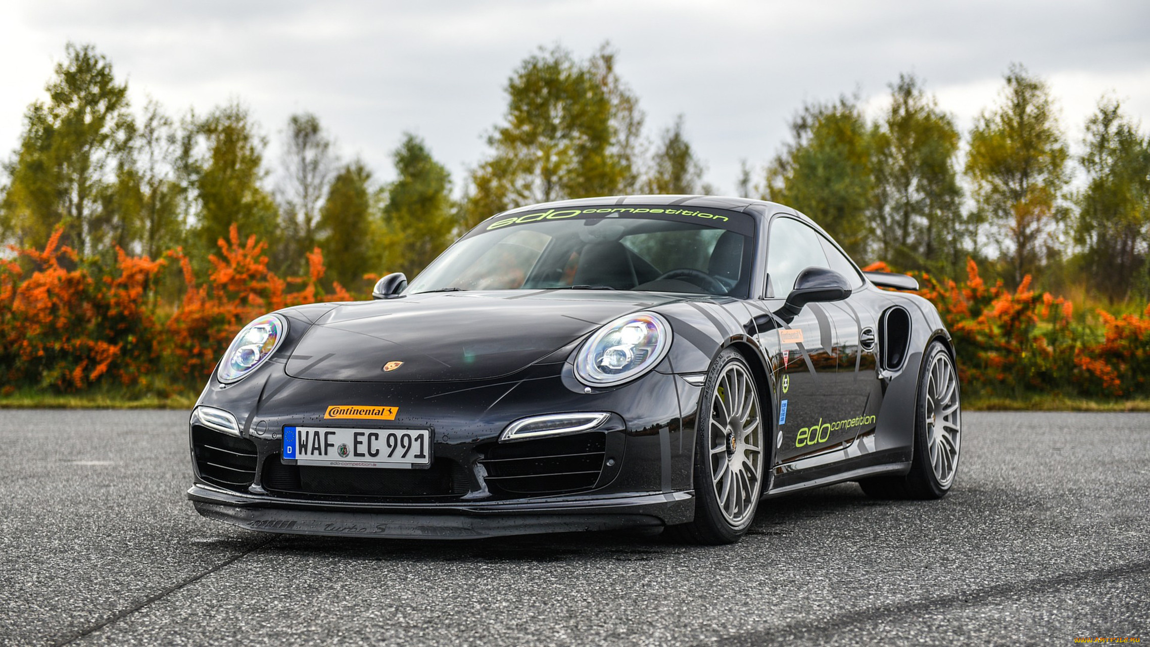 edo competition blackburn based on porsche 911 turbo-s 2016, , porsche, based, blackburn, edo, competition, 2016, turbo-s, 911